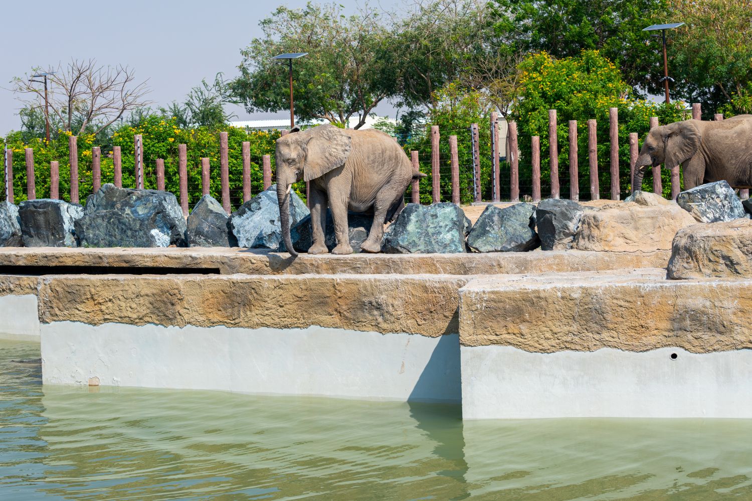 Thailand zoo